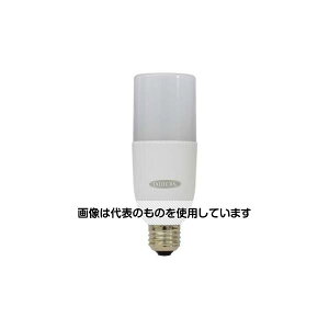 AY(AS ONE) [EA815LB-11E12p] E26 LEDd EA815LB-15 F1