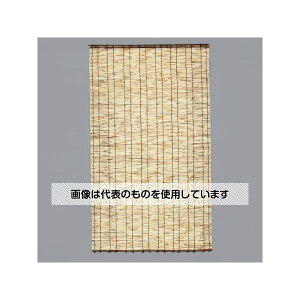 AY(AS ONE) 880x1570mm IVÂ EA911CA-62 F1