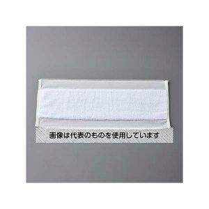 �A�Y����(AS ONE) 480x200mm �}�C�N���t�@�C�o�[�p�b�h EA928DE-111 �����F1��