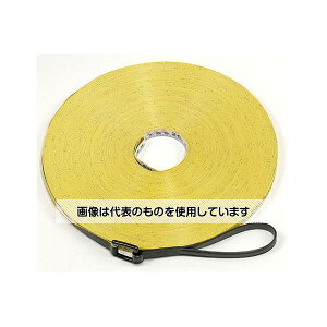 AY(AS ONE) V pe[v 13mm/100m/ 20N YSM-100R F1Zbg