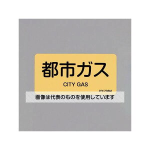 AY(AS ONE) 40x 80mm JISzǎʃXebJ[(ssKX/10) EA983MJ-21 F1g(10)