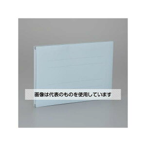 AY(AS ONE) A4 Lkt@C(u[) EA762CF-411 F1