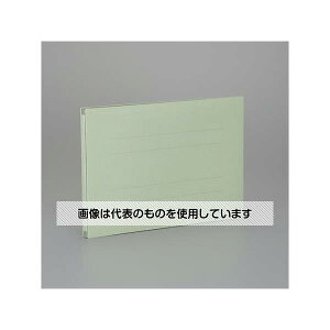 AY(AS ONE) A4 Lkt@C(O[) EA762CF-413 F1