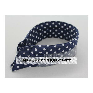 Y GN[[@ʁ@ #1819-MNV 1