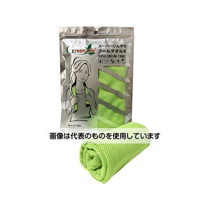 KfBJj[Y X[p[ЂN[^IK CgO[ 50 K-009 F1(50)