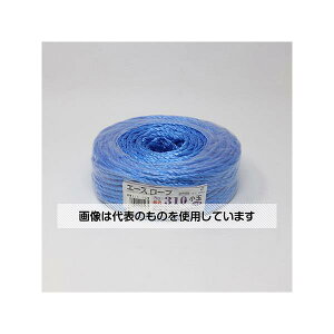 AY(AS ONE) G[X[v310  F1