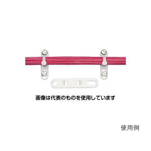 phECbgR[|[V Œ ^Cv[g TP2M F1