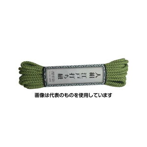 ^JCN ]ˑłR ׊ 5.5m G AR-1004 F1