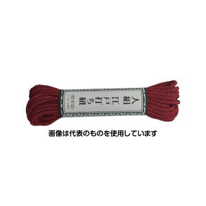 ^JCN ]ˑłR ׊ 5.5m  AR-1007 F1