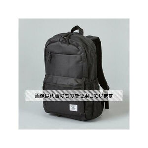 AY(AS ONE) 304x152x457mm/19.7L obNpbN() EA927CH-76 F1