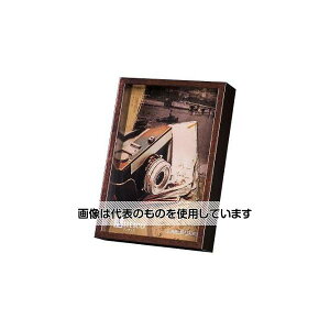 �A�Y����(AS ONE) L�� �t�H�g�t���[��(�u���E��) EA761LP-101 �����F1��