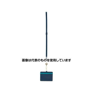 ZLZC IDJ[hz_[(Xgbvt/u[) EA956VA-601A F1