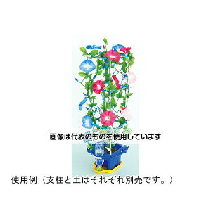 A[ebN ͔|Zbg 93153 F1