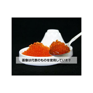 FwH 킭킭TCGXLabo lH낤 WSL-02 F1Zbg