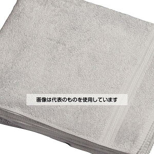 TKG tFCX^I(1܁E10)O[ 8310 F1(10)