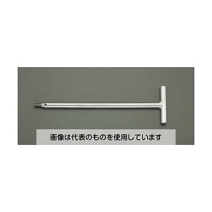 GXR 2.5x250mm [Hexagon]T^O` EA573EG-2.5 F1{