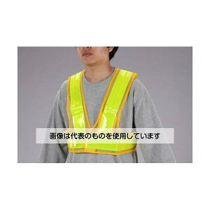 GXR LEDSxXg(/) EA983R-101 F1