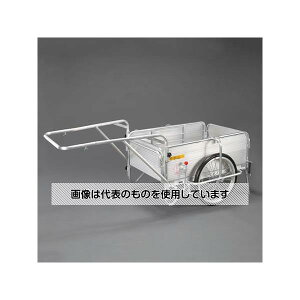 AY(AS ONE) 900x600mm J[E܏(A~/m[pN^C) EA520AG-31 F1