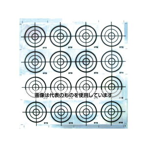 STS ˃V[g 1(16) RF-53 F1(16)