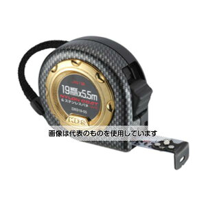 �����e�b�NKDS �l�I���b�N DXS 19��5.5m DXS19-55 �����F1��
