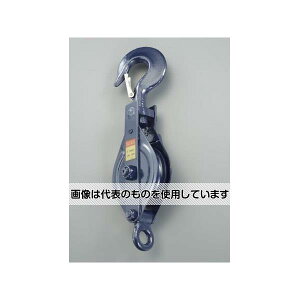 GXR 100mm/1.0ton tbNt EA987HK-31 1