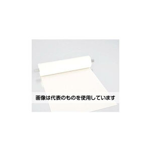 �G�X�R [EA997PS-25�p] �փt�B���^�[ EA997PS-35 �����F1��