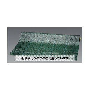 AY(AS ONE) 2.0x25m όhV[g EA952AD-300 F1