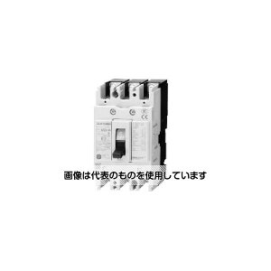�O�H�d�@ �m�[�q���[�Y�Ւf�� NF63-CV 3P 50A �����F1��