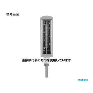 v퐻H ^یgxv(W^) 0`100 BSBMیǕt L=35mm×13 AMS-0100-35H-B F1