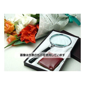 NA[w Mtg[y(^Cv1) GF-01 F1