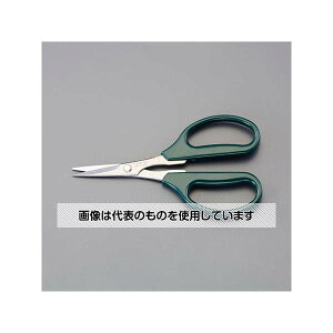 AY(AS ONE) 160mm ͂݁ENtg(XeX) EA540AP-51 F1{