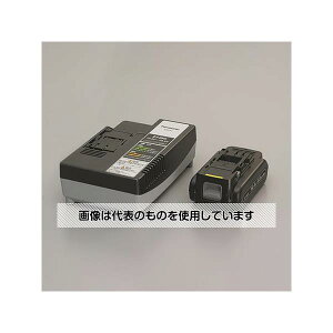 AY(AS ONE) DC14.4V [dr[dZbg EA813P-21A F1Zbg