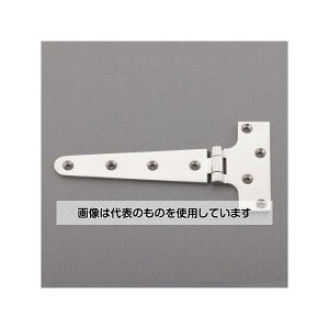 AY(AS ONE) 98x195mm T^qW(XeX) EA951CX-43 F1