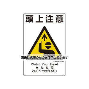 AY(AS ONE) 450x300mm ЖhSW(㒍) EA983BV-101 F1