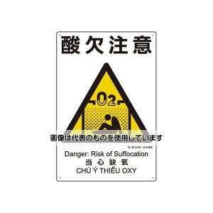 AY(AS ONE) 450x300mm ЖhSW(_) EA983BV-117 F1