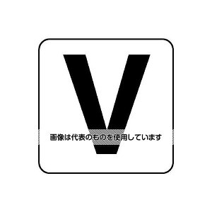 AY(AS ONE) 100x100mm At@xbg\XebJ[[V](1) EA983CW-152 F1