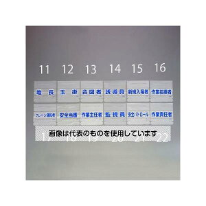 アズワン(AS ONE) 58x165mm 識別バンド用ネームカバー(新規入場者) EA983RH-15 入数:1枚