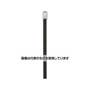 Strong�@Hold �t���R�[�e�B���O�X�e�����X�X�`�[���o���h SUS316L ����201mm ��4.6mm 100�{�� IMLTFC51S-C6L �����F1��(100�{��)
