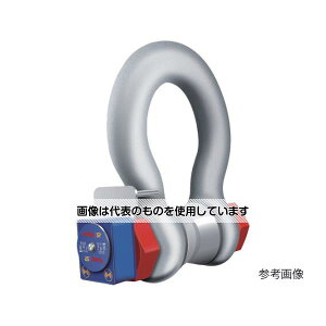 }[ebN zCXgXP[ [hVbN WLS 3.25T 莝fBXvCʔ WLS3.25T F1