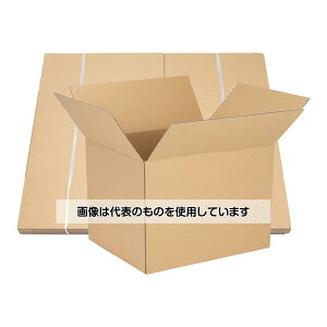 紺屋商事 段ボール 160サイズ 10枚入 01150161 入数:1束(10枚入)