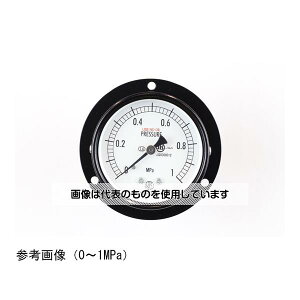 v ʌ`͌v(60) ֖ `Dg(t) 1MPa AA15-221 F1