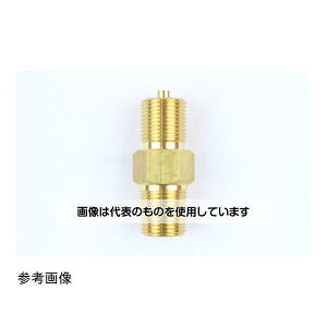 v WCg G1/2B×R3/8  FJ12-481 F1