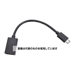 fBmCg(Dino-Lite) Dino-LiteV[Yp USB OTG P[u(Micro B) DINOOTGB F1