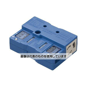 AY(AS ONE) ANZXtApRZg(2/20A/125V) EA538PM-41 F1