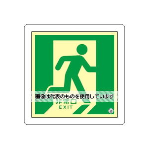 �A�Y����(AS ONE) 300x300mm [�~����]���p�U���W�� EA983AH-15 �����F1��