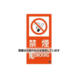 AY(AS ONE) 300x150mm ։W EA983BB-124 F1