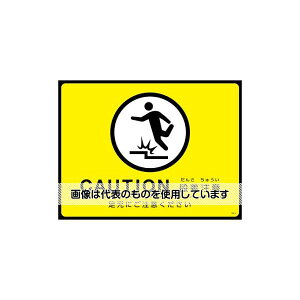 AY(AS ONE) 450x600mm HʓHW[i] EA983BB-143 F1