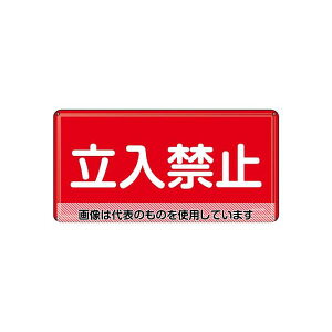 AY(AS ONE) 300x600mm 댯W(֎~) EA983BC-52 F1