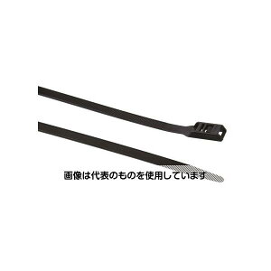 w}^Cg oh 535mm x 9 mm  iC 66 1(100) 112-53060 PE530-PA66HSW-BK F1(100)