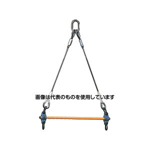 スーパーツール 天秤 容量(kg):2000 スパン位置(mm):450・500・550・600・650・700・750・800 質量(kg):20 LSB2H 入数:1個